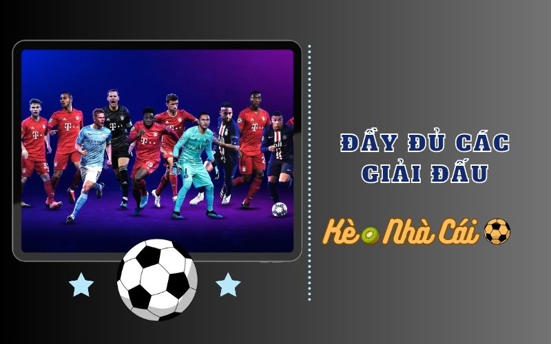 Keonhacai Kiwi - Tỷ Lệ Kèo Nhà Cái 5 Mới Nhất | Keo Nha Cai 4 Bao phủ đầy đủ mọi giải đấu