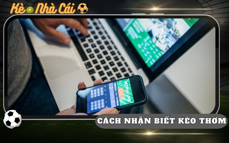 Cách Nhận Biết Kèo Thơm Từ Biến Động Odds Lụm Tiền Nhà Cái 33 Cách Nhận Biết Kèo Thơm Từ Biến Động Odds Lụm Tiền Nhà Cái